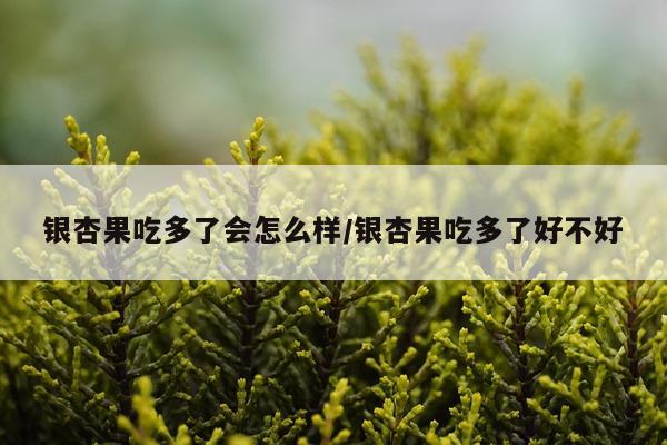 银杏果吃多了会怎么样/银杏果吃多了好不好