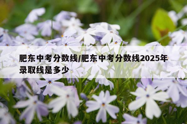 肥东中考分数线/肥东中考分数线2025年录取线是多少