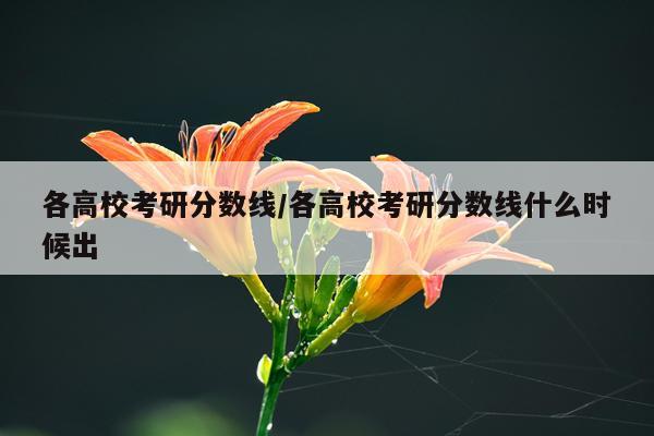 各高校考研分数线/各高校考研分数线什么时候出