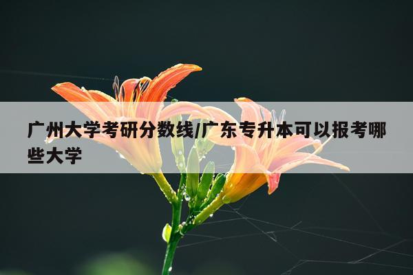 广州大学考研分数线/广东专升本可以报考哪些大学