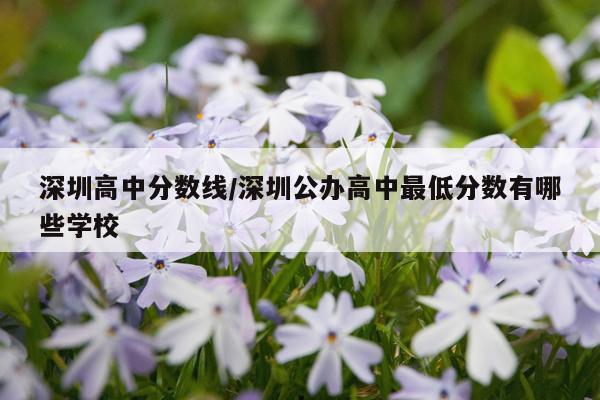 深圳高中分数线/深圳公办高中最低分数有哪些学校