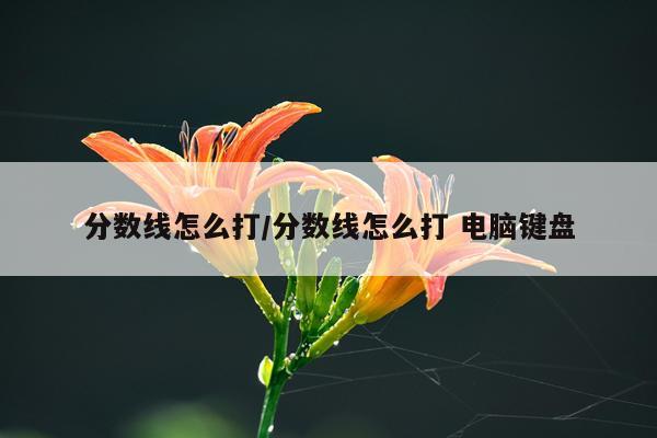 分数线怎么打/分数线怎么打 电脑键盘