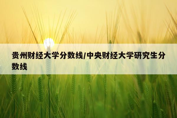 贵州财经大学分数线/中央财经大学研究生分数线