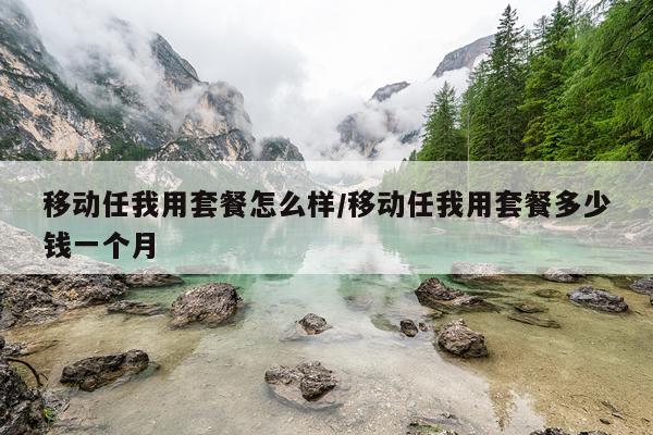 移动任我用套餐怎么样/移动任我用套餐多少钱一个月