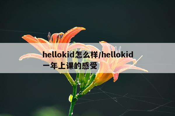 hellokid怎么样/hellokid一年上课的感受
