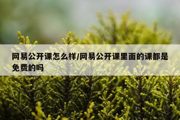 网易公开课怎么样/网易公开课里面的课都是免费的吗