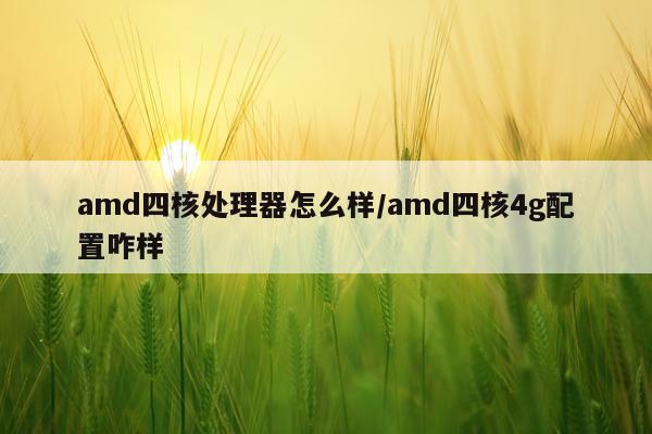 amd四核处理器怎么样/amd四核4g配置咋样