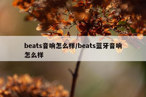beats音响怎么样/beats蓝牙音响怎么样