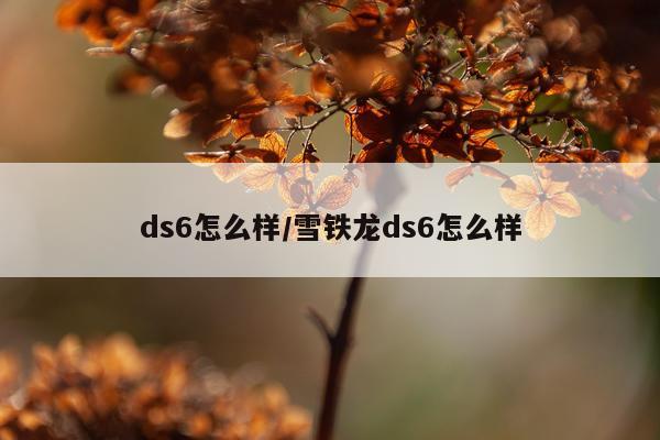 ds6怎么样/雪铁龙ds6怎么样
