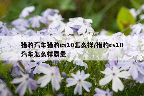 猎豹汽车猎豹cs10怎么样/猎豹cs10汽车怎么样质量
