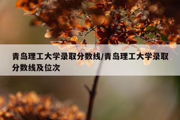青岛理工大学录取分数线/青岛理工大学录取分数线及位次
