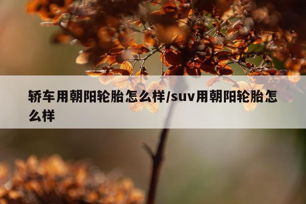 轿车用朝阳轮胎怎么样/suv用朝阳轮胎怎么样