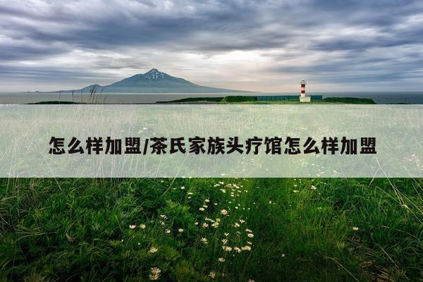 怎么样加盟/茶氏家族头疗馆怎么样加盟