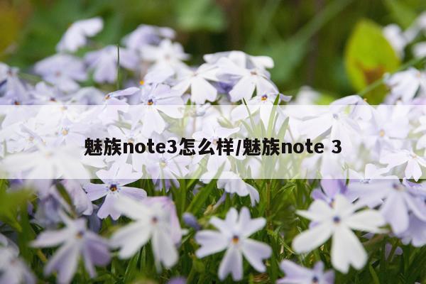 魅族note3怎么样/魅族note 3