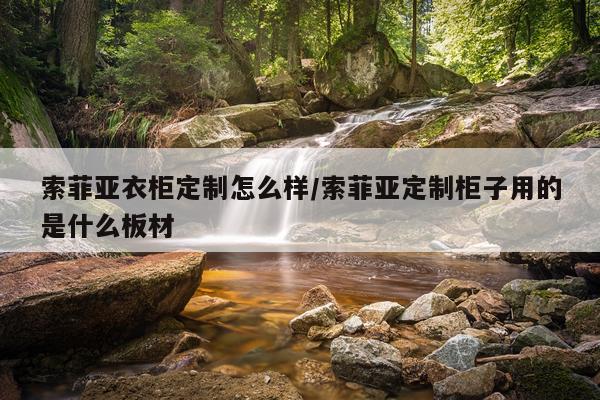 索菲亚衣柜定制怎么样/索菲亚定制柜子用的是什么板材