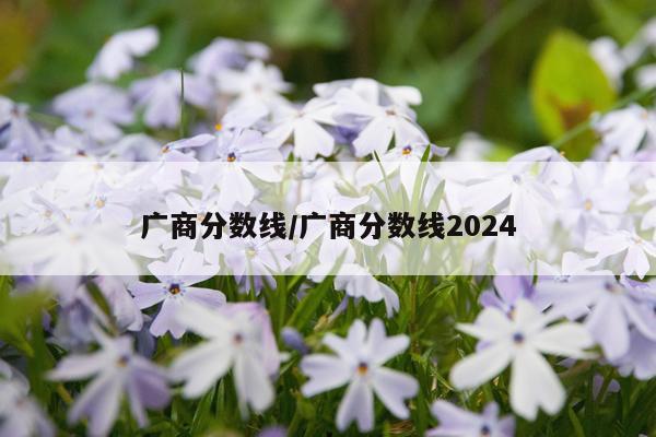广商分数线/广商分数线2024