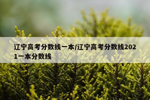 辽宁高考分数线一本/辽宁高考分数线2021一本分数线