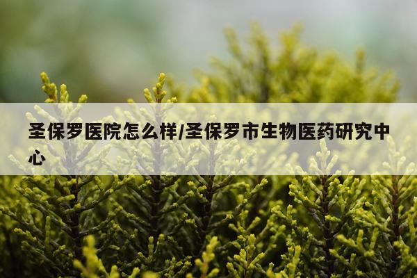 圣保罗医院怎么样/圣保罗市生物医药研究中心