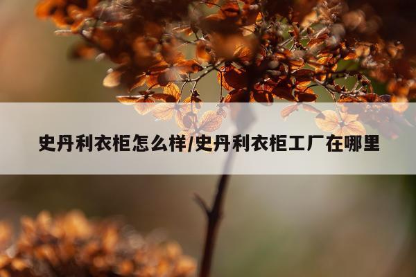 史丹利衣柜怎么样/史丹利衣柜工厂在哪里