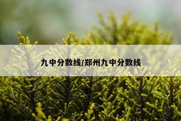 九中分数线/郑州九中分数线
