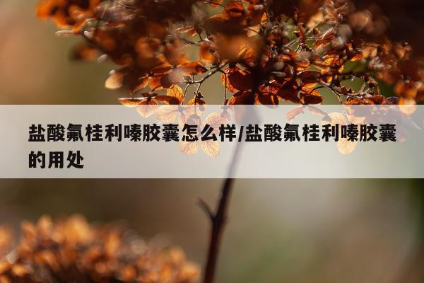 盐酸氟桂利嗪胶囊怎么样/盐酸氟桂利嗪胶囊的用处