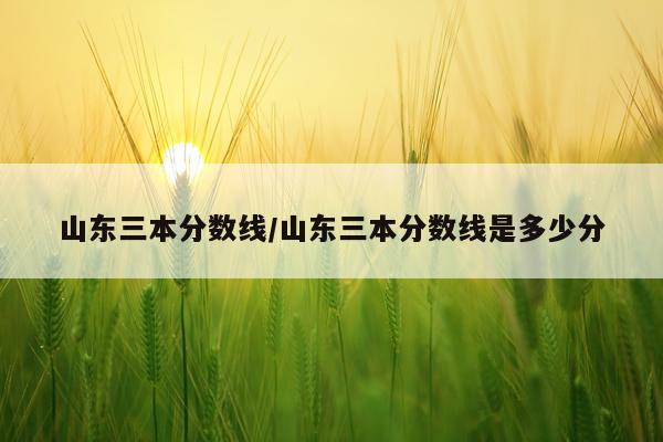 山东三本分数线/山东三本分数线是多少分