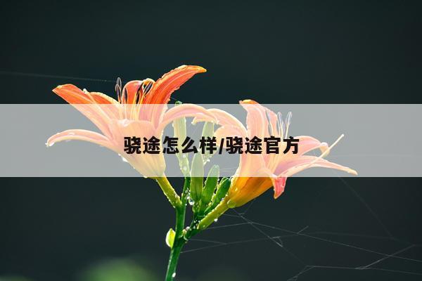 骁途怎么样/骁途官方