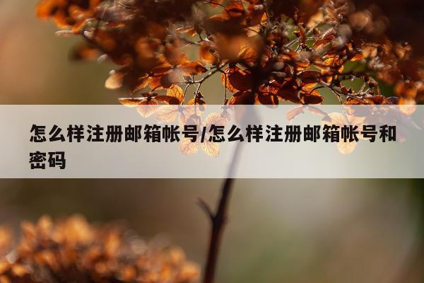 怎么样注册邮箱帐号/怎么样注册邮箱帐号和密码