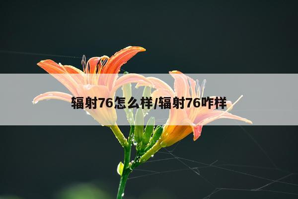 辐射76怎么样/辐射76咋样