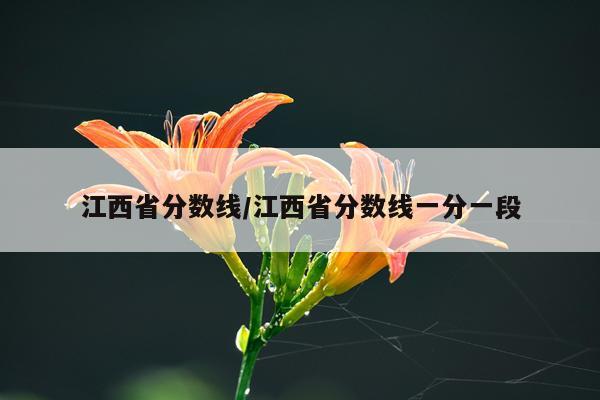 江西省分数线/江西省分数线一分一段