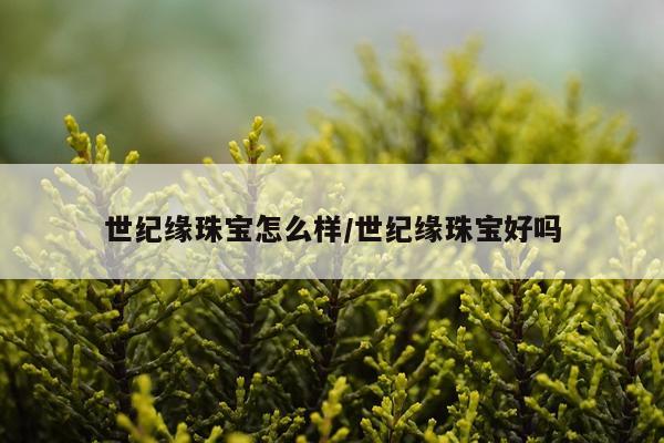 世纪缘珠宝怎么样/世纪缘珠宝好吗
