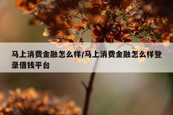 马上消费金融怎么样/马上消费金融怎么样登录借钱平台