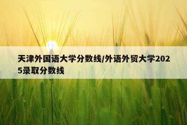 天津外国语大学分数线/外语外贸大学2025录取分数线