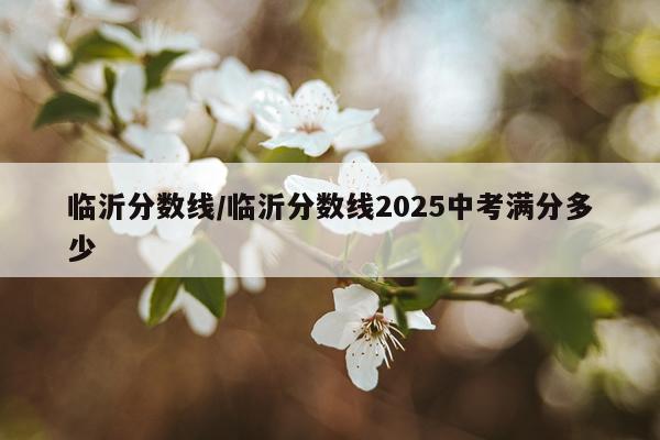 临沂分数线/临沂分数线2025中考满分多少