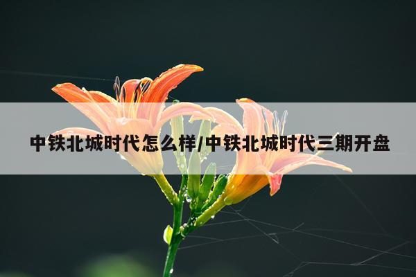 中铁北城时代怎么样/中铁北城时代三期开盘