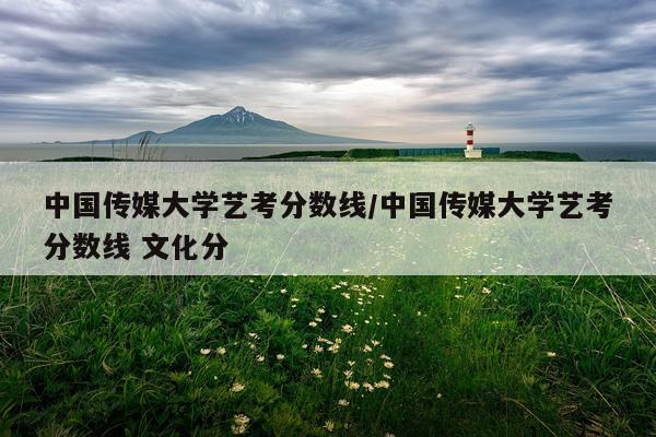 中国传媒大学艺考分数线/中国传媒大学艺考分数线 文化分