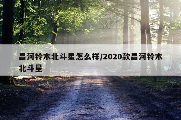 昌河铃木北斗星怎么样/2020款昌河铃木北斗星