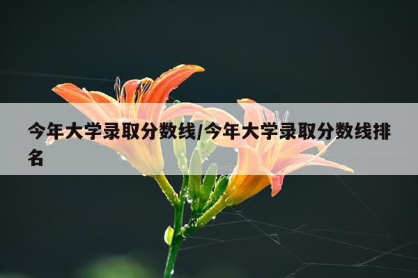 今年大学录取分数线/今年大学录取分数线排名
