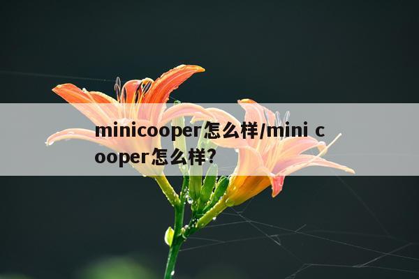 minicooper怎么样/mini cooper怎么样?