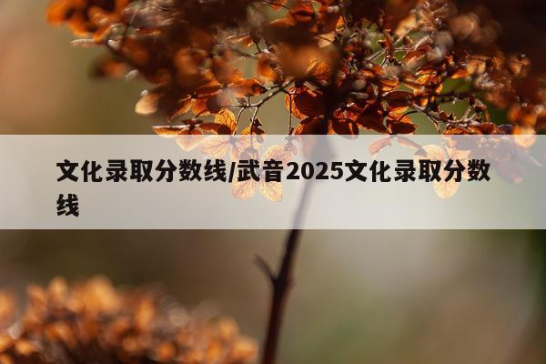 文化录取分数线/武音2025文化录取分数线