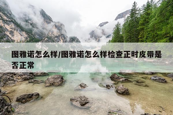 图雅诺怎么样/图雅诺怎么样检查正时皮带是否正常