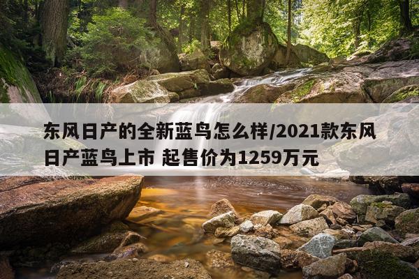 东风日产的全新蓝鸟怎么样/2021款东风日产蓝鸟上市 起售价为1259万元