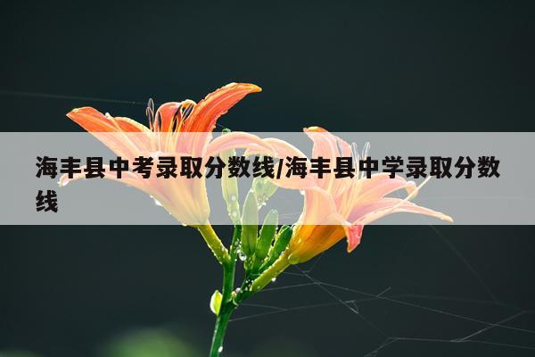 海丰县中考录取分数线/海丰县中学录取分数线