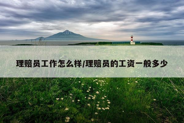 理赔员工作怎么样/理赔员的工资一般多少