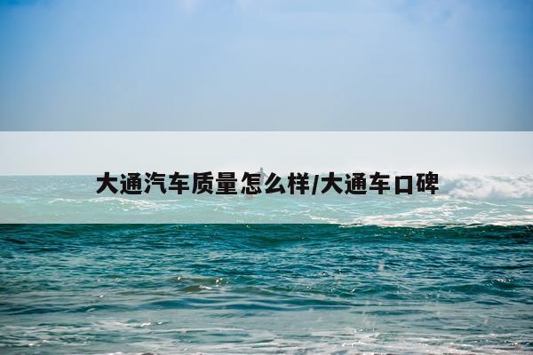 大通汽车质量怎么样/大通车口碑