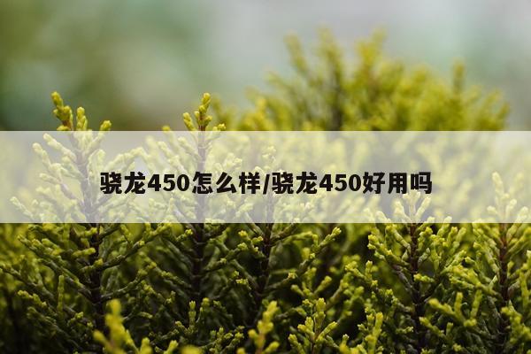 骁龙450怎么样/骁龙450好用吗