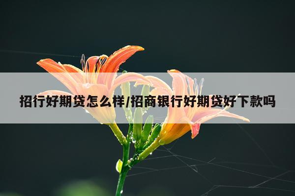 招行好期贷怎么样/招商银行好期贷好下款吗
