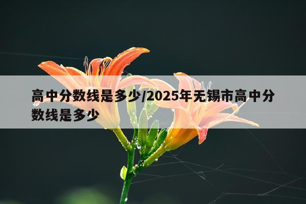 高中分数线是多少/2025年无锡市高中分数线是多少