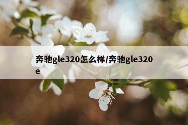 奔驰gle320怎么样/奔驰gle320e