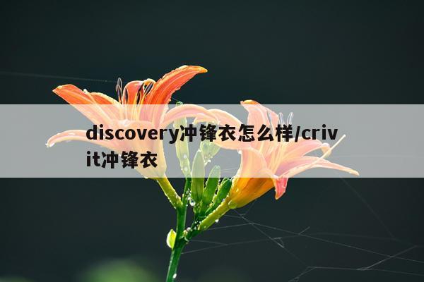 discovery冲锋衣怎么样/crivit冲锋衣